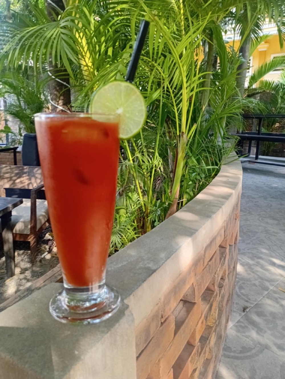 Bloody Mary cocktail in the garden